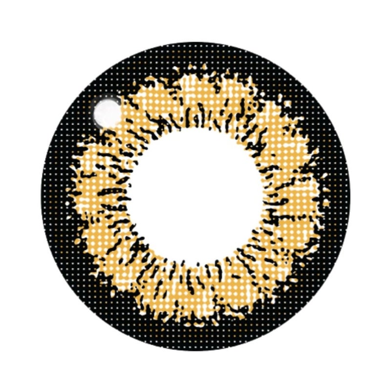 ファビュラス (Fabulous) カラコン - 鈴木愛理  [1month] ファビュラス キングブラウン　レンズ