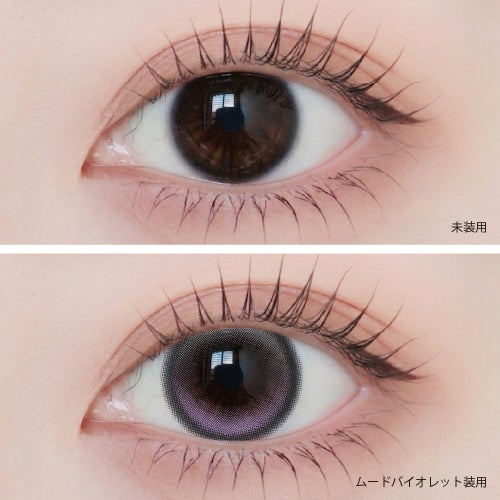  [1month] アンジェリーク ムードバイオレット　装用比較